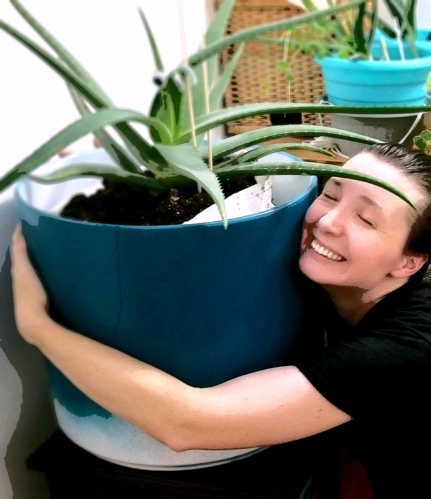 A person (Veronica) with a wide smile is hugging a large potted plant with long, green leaves. The blue-and-white pot and colorful pots in the background add vibrancy. Veronica appears happy and content.