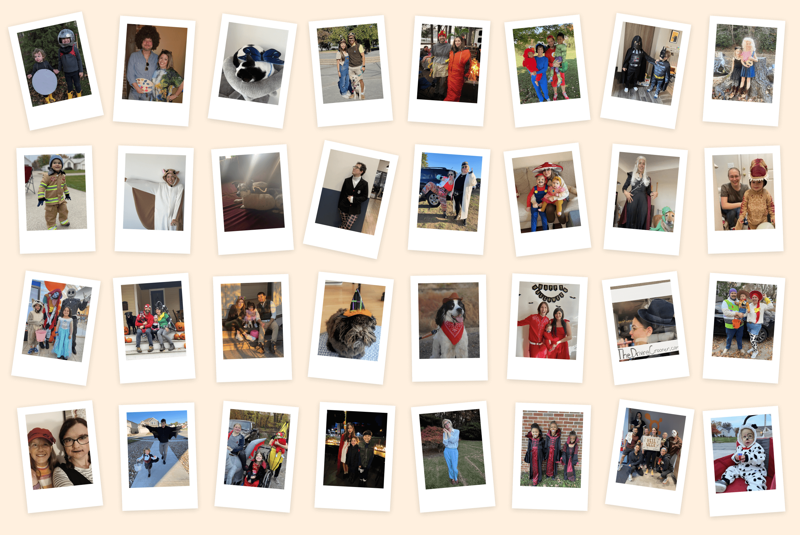 A collage of 30 Polaroid-style photographs showcasing various people, pets, and landscapes, each captured in vibrant and candid moments. Some images feature Sparrow careers team building events with colleagues in costumes; others display everyday scenes and a few highlight decorated pets.