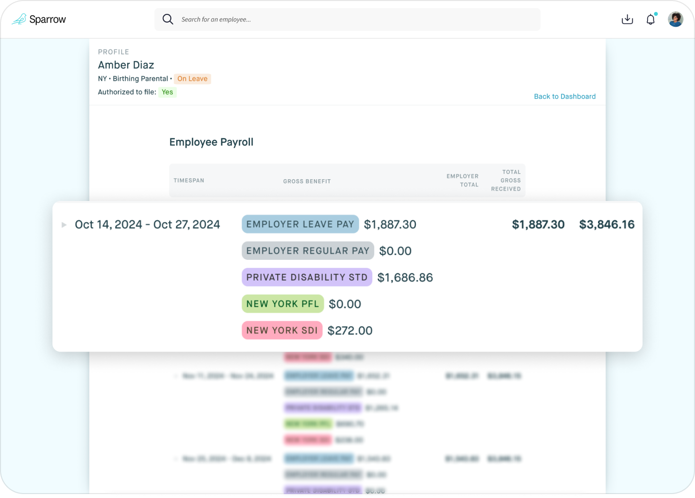 Personalized Payroll Plan